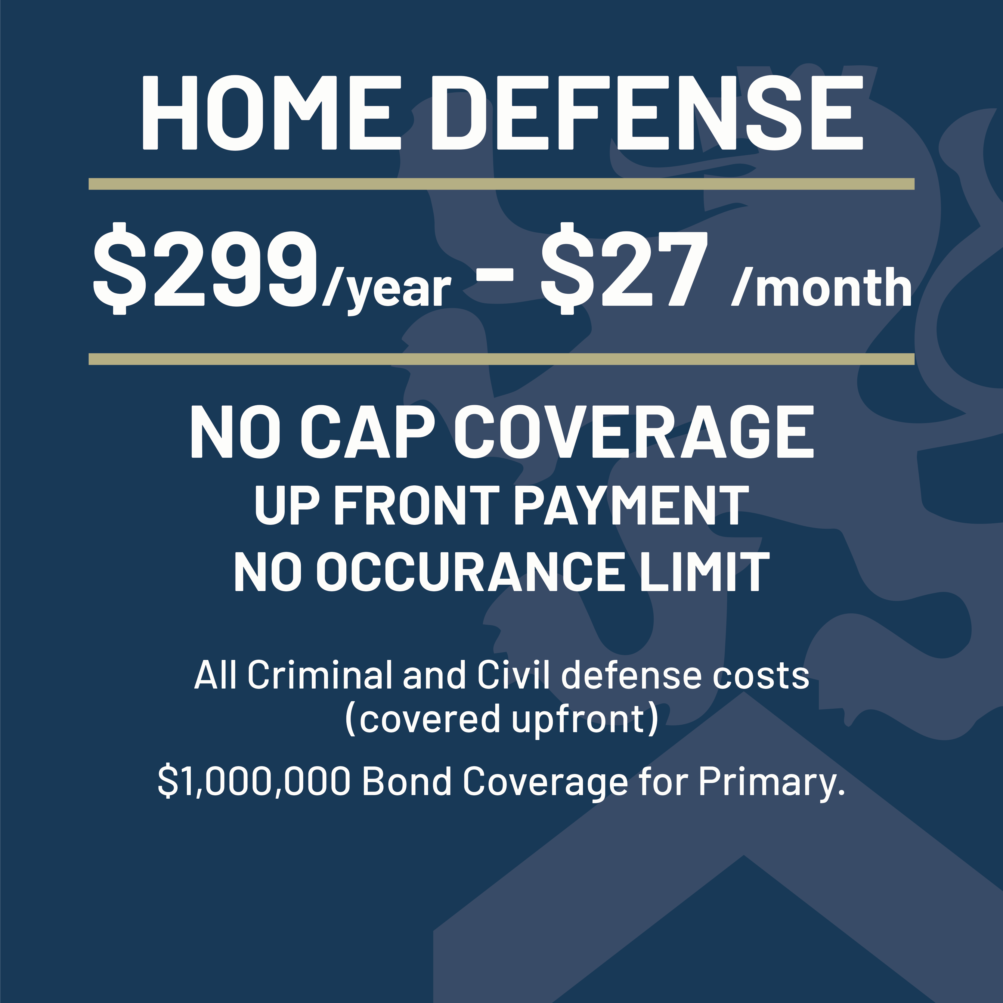 Home Defense CCW Safe